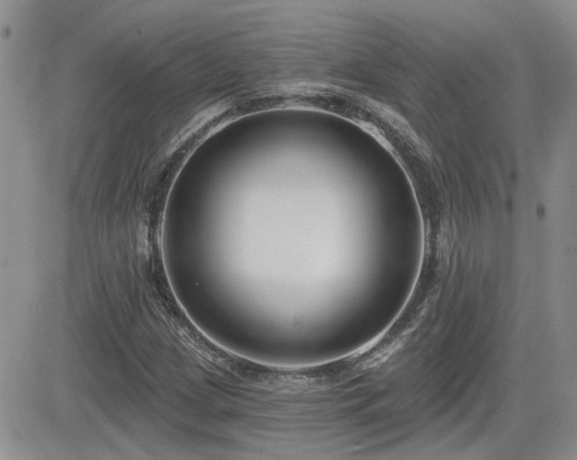 X0000082681209200701261147