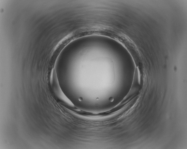 X0000082681210200701261147