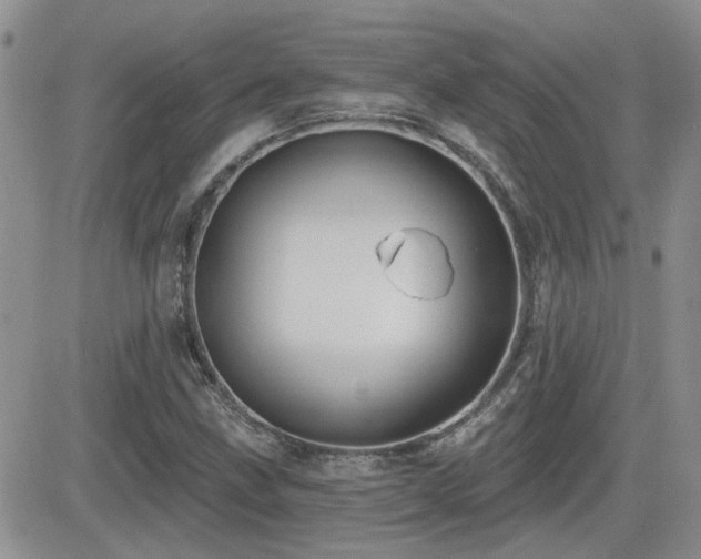 X0000082681211200701261147