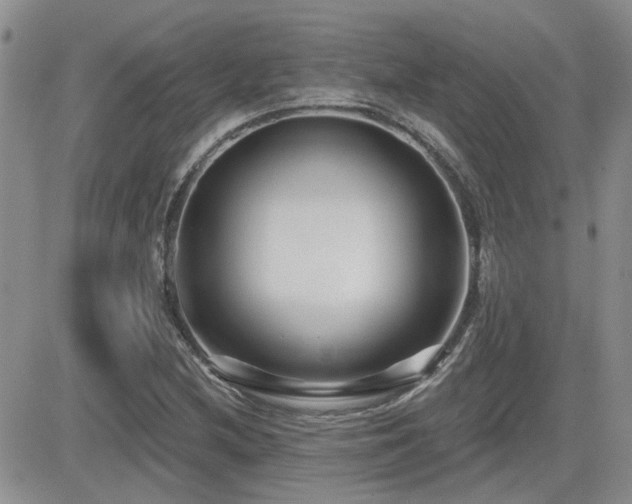 X0000082681212200701261147