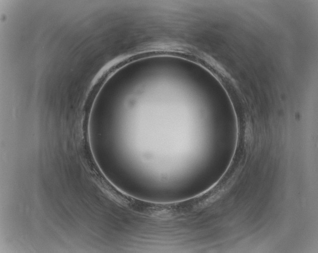 X0000082681222200701261147