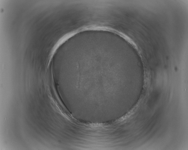 X0000082681223200701261147