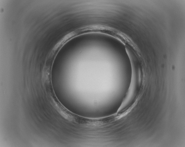 X0000082681225200701261147