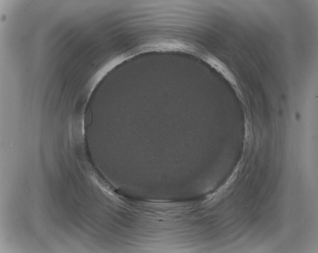 X0000082681226200701261147