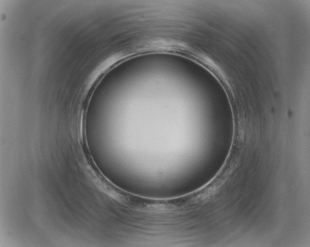 X0000082681227200701261147