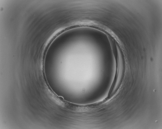 X0000082681232200701261147