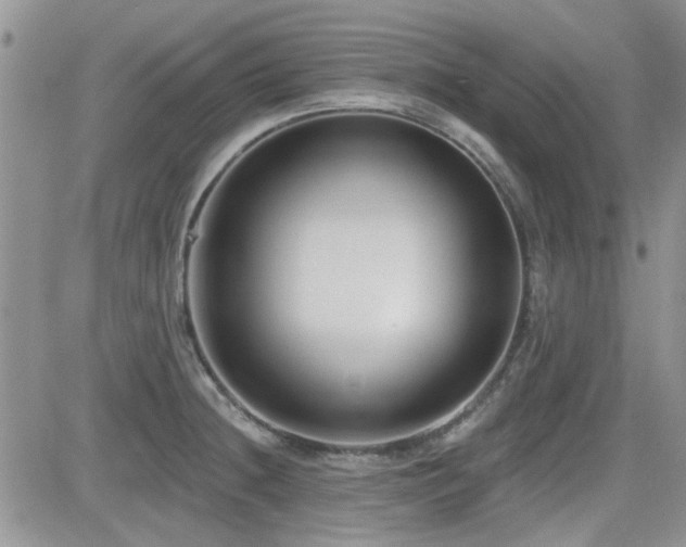 X0000082681236200701261147