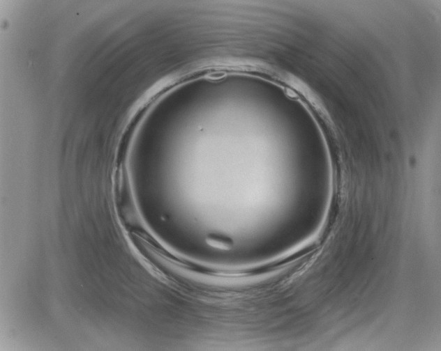 X0000082681237200701261147