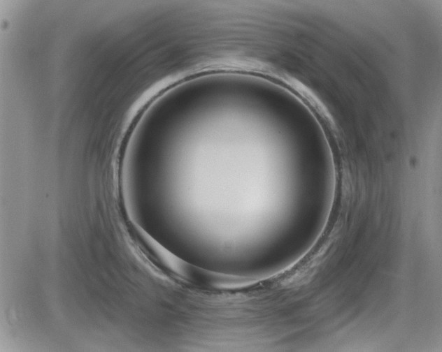 X0000082681238200701261147