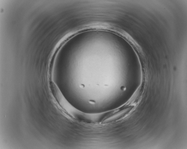 X0000082681240200701261147