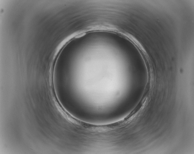 X0000082681246200701261147