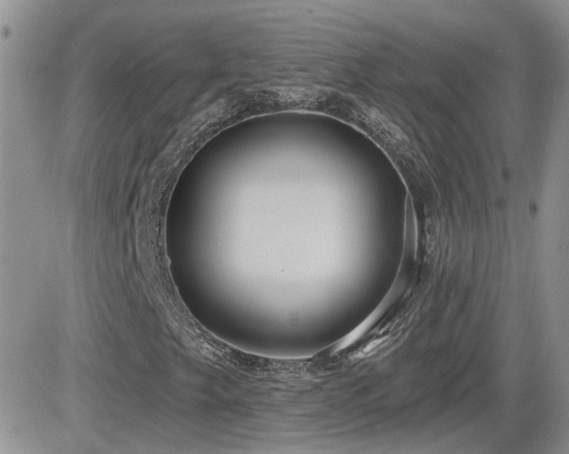 X0000082681249200701261147