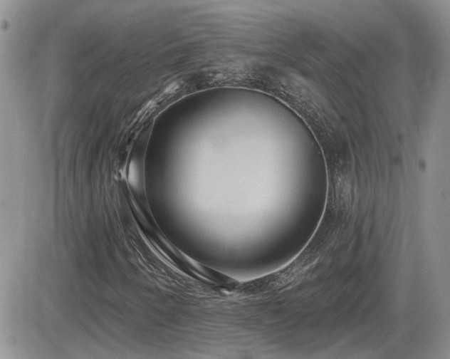 X0000082681250200701261147