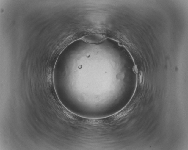 X0000082681251200701261147