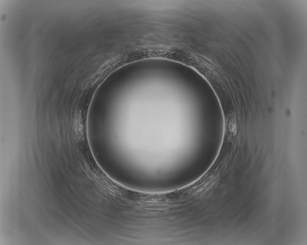 X0000082681252200701261147