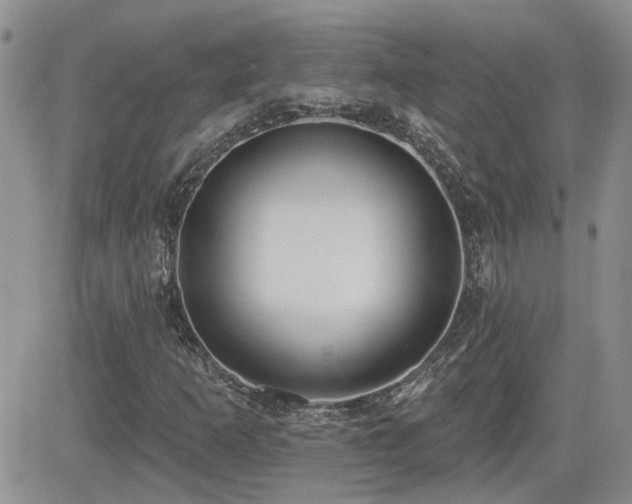 X0000082681253200701261147
