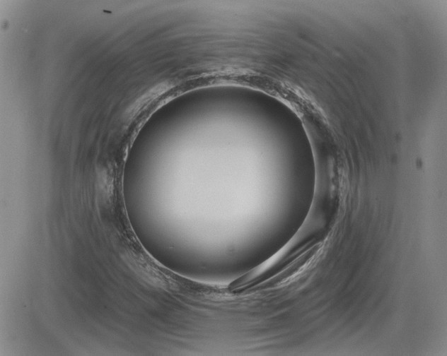 X0000082681257200701261147