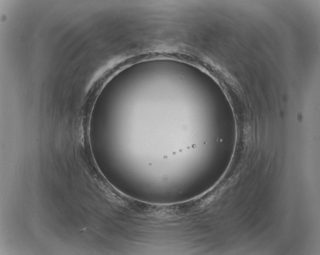 X0000082681262200701261147