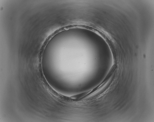 X0000082681264200701261147