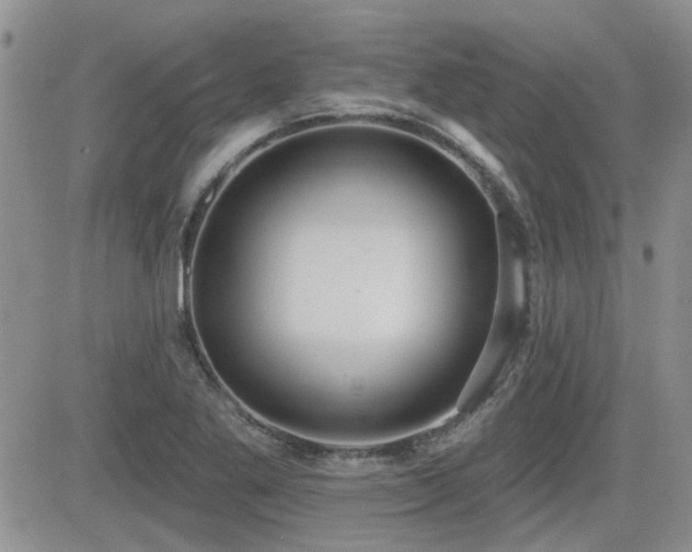 X0000082681269200701261146
