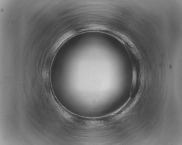 X0000082681281200701261146