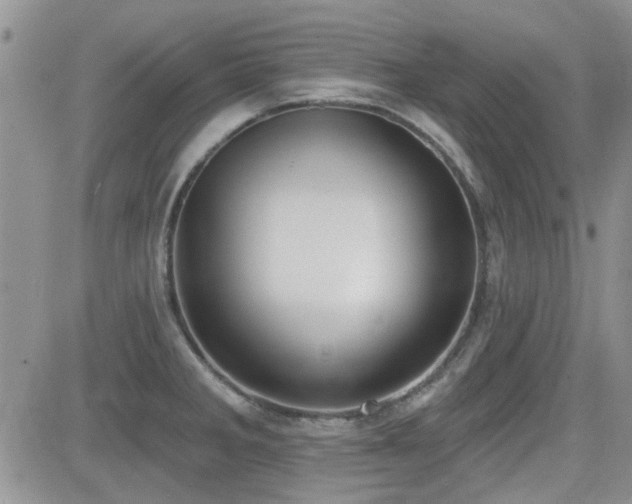 X0000082681285200701261146