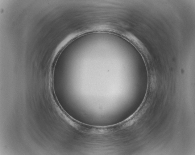 X0000082681286200701261146