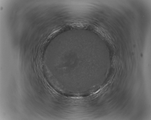 X0000082681297200701261145