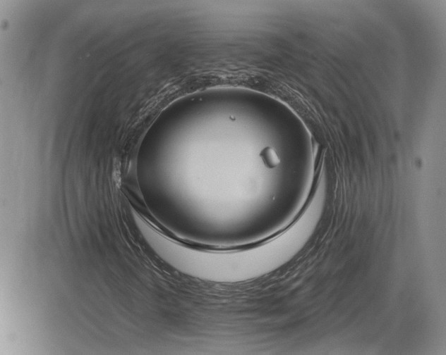 X0000082681298200701261145