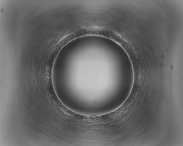 X0000082681301200701261145