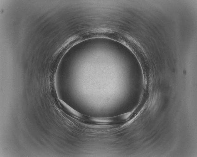 X0000082681305200701261145