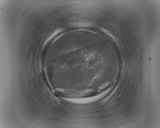 X0000082681306200701261145