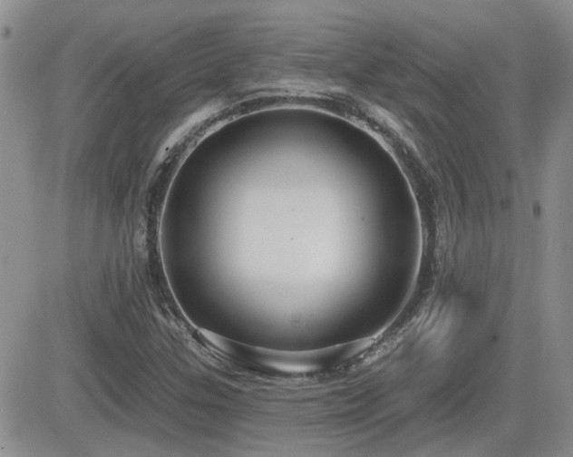X0000082681307200701261145