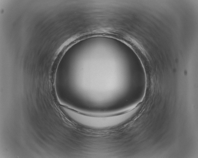 X0000082681308200701261145