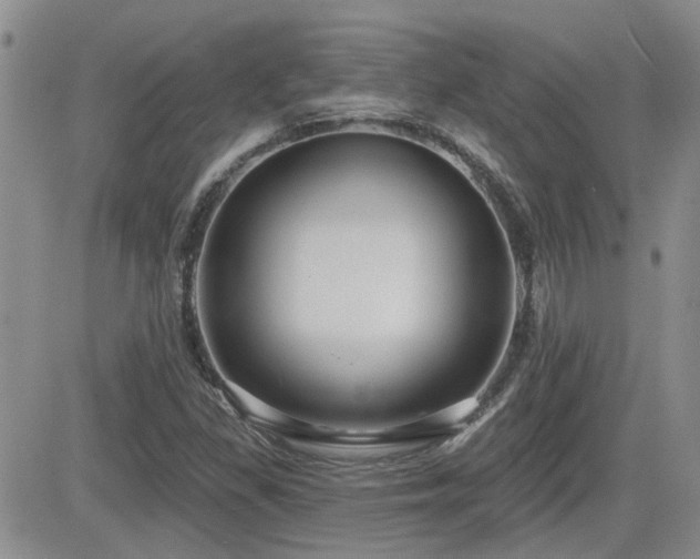 X0000082681309200701261145