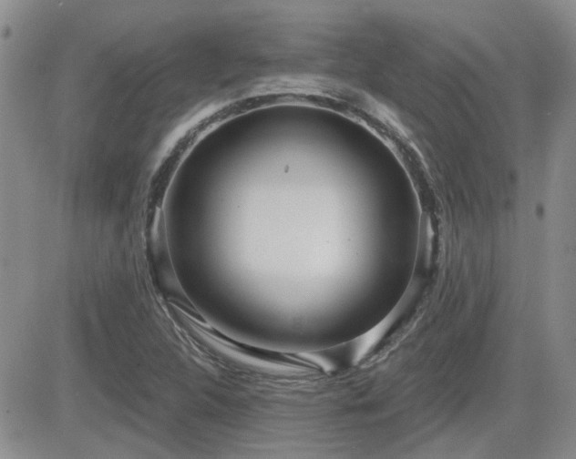 X0000082681312200701261145