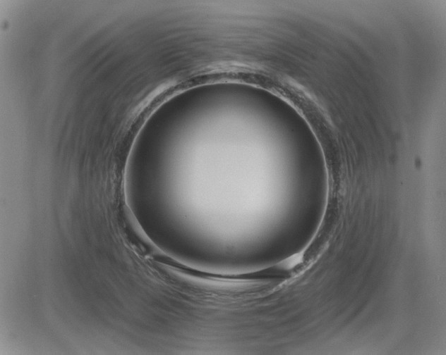 X0000082681313200701261145