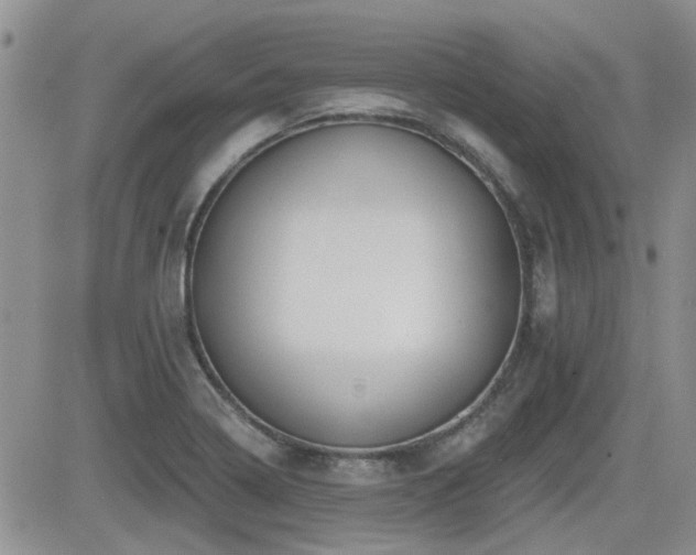 X0000082681322200701261146
