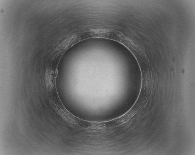 X0000082681346200701261145