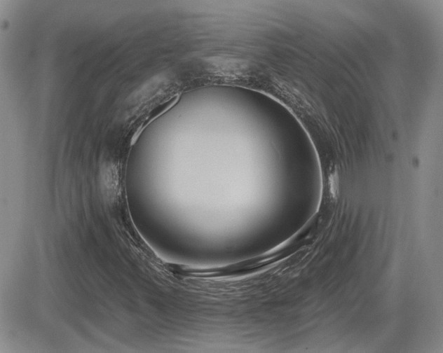 X0000082681347200701261145