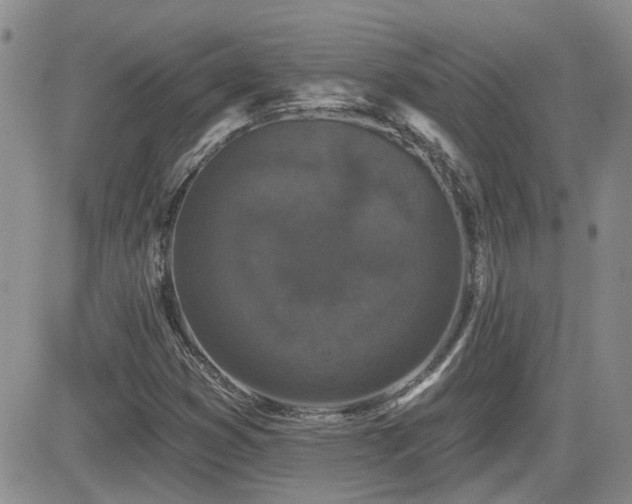 X0000082681353200701261145