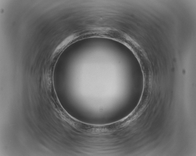 X0000082681354200701261145