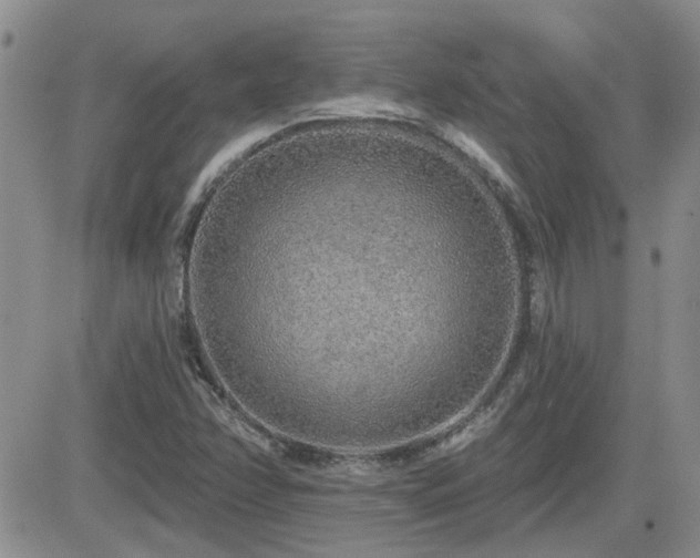 X0000082681358200701261145