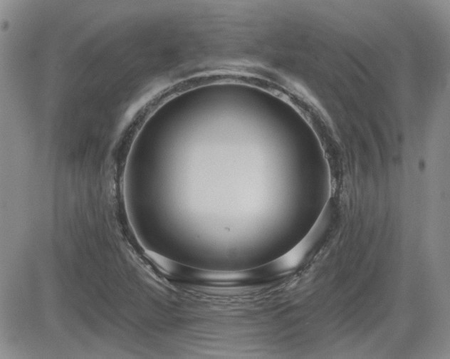 X0000082681360200701261145