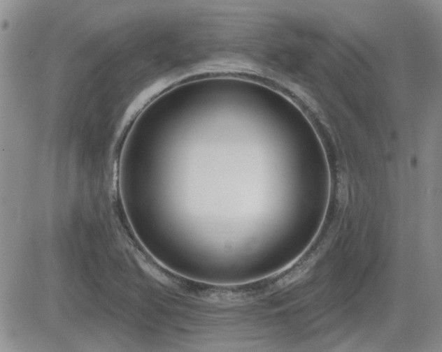 X0000082681366200701261145