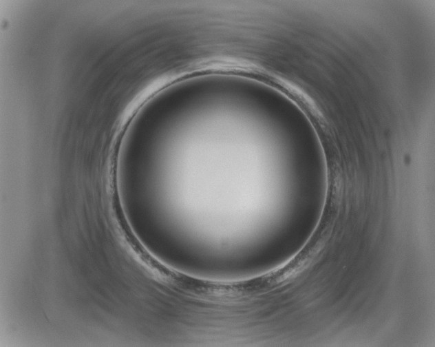 X0000082681375200701261145