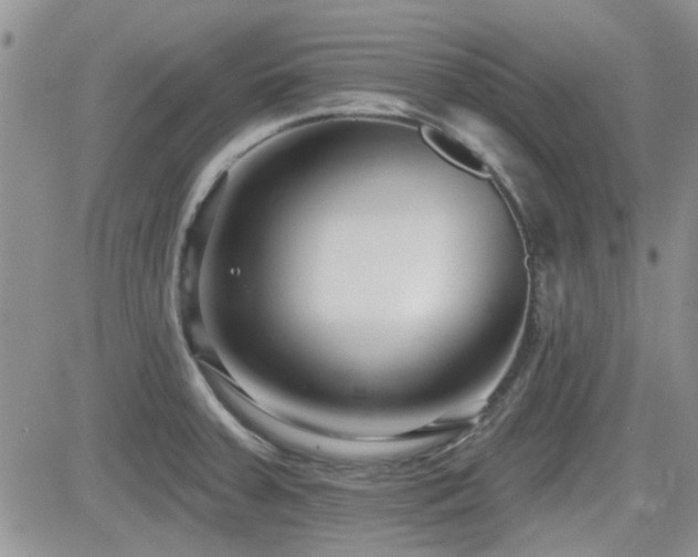 X0000082681379200701261145