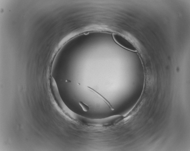 X0000082681382200701261145