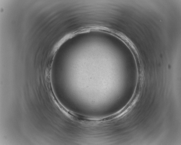 X0000082681385200701261145