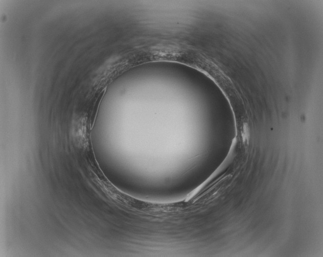 X0000082681396200701261144